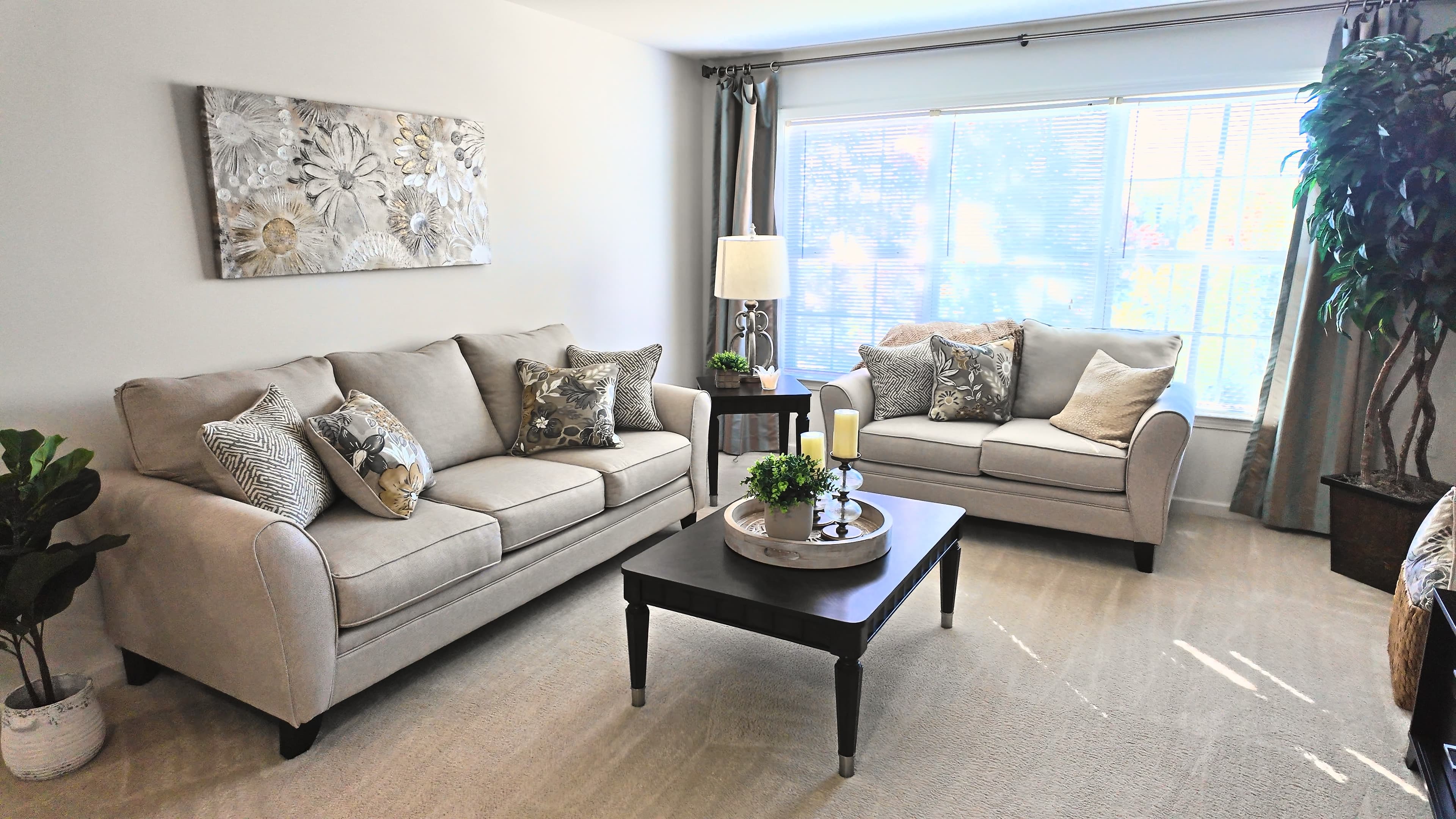 Spacious Living Rooms at Carlyle Place