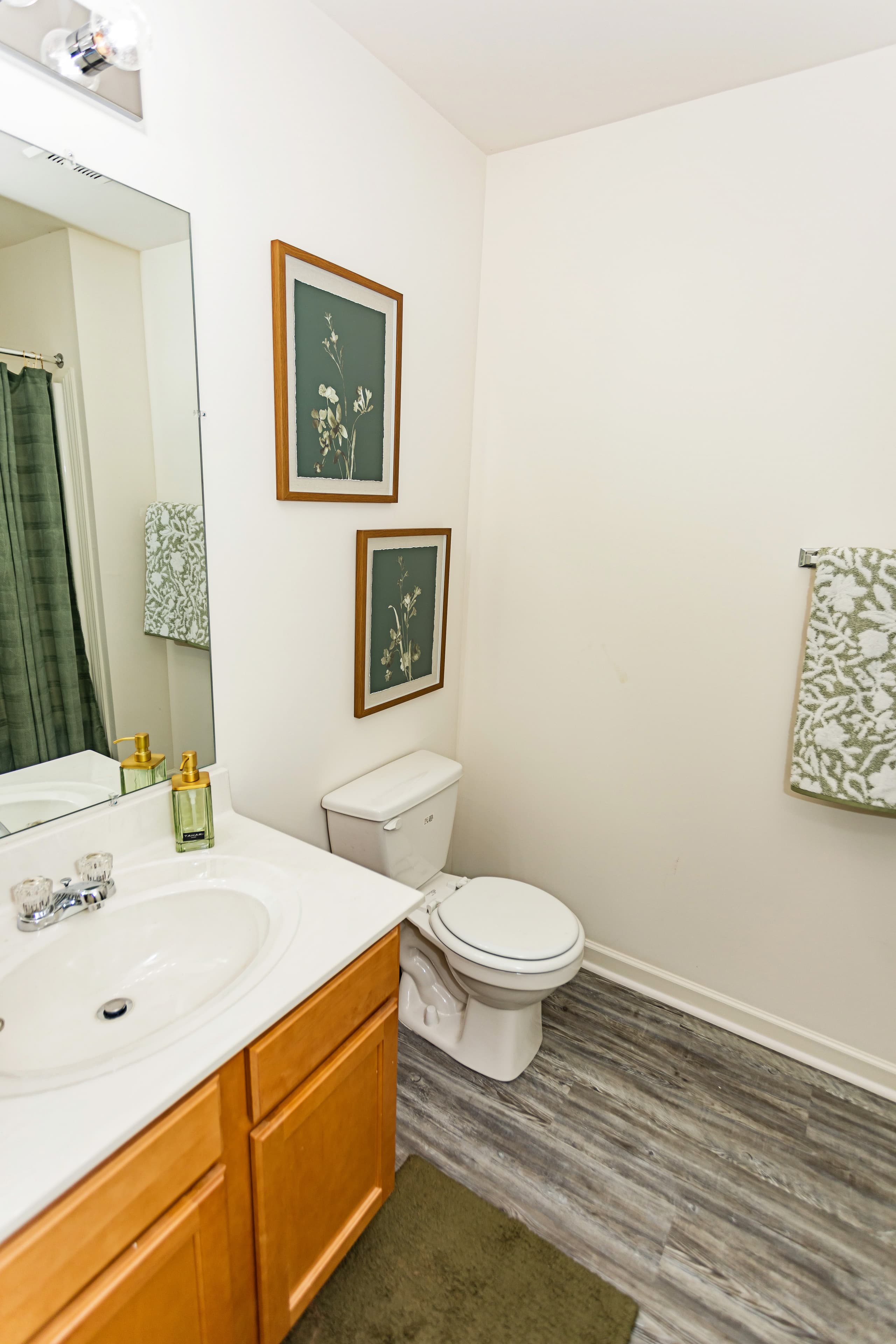 Stylish bathrooms at The Pointe at Peters Creek