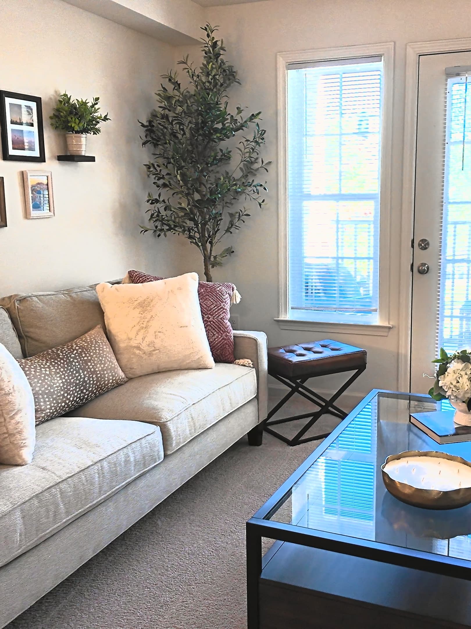 Spacious Living Rooms at The Pointe at Robinhood Village