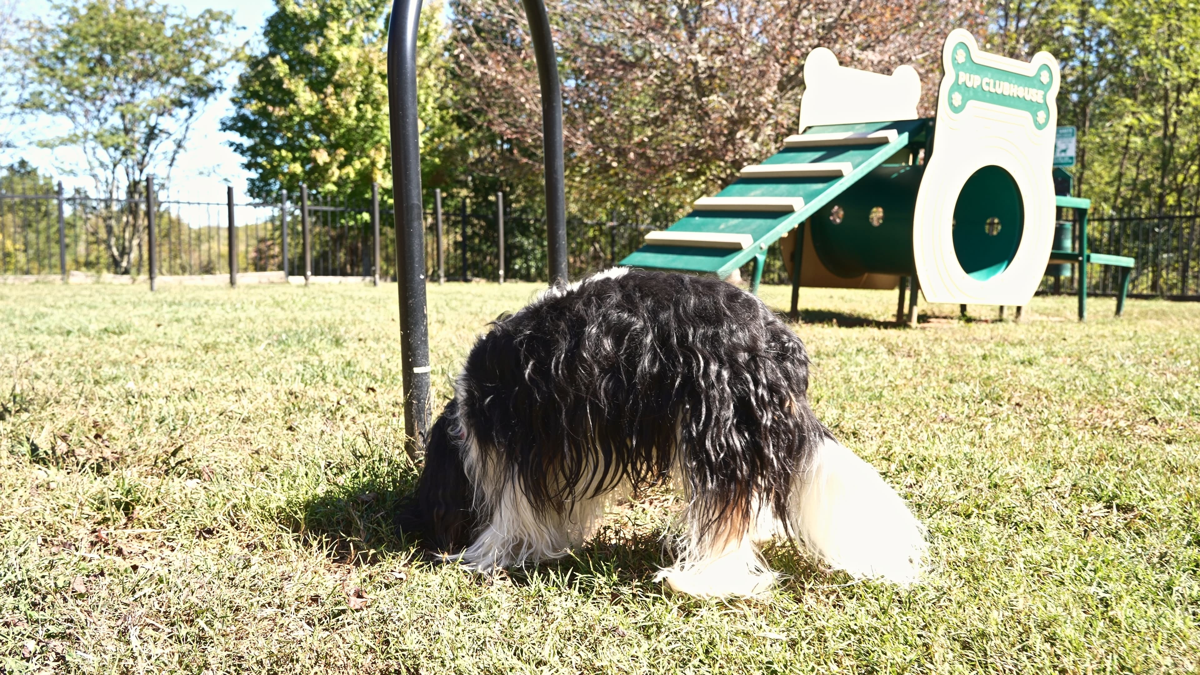 The pet park at The Pointe at Robinhood Village